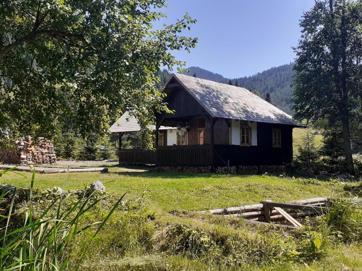 Hotel casuta valea stanei Valea Stanii Esterno foto