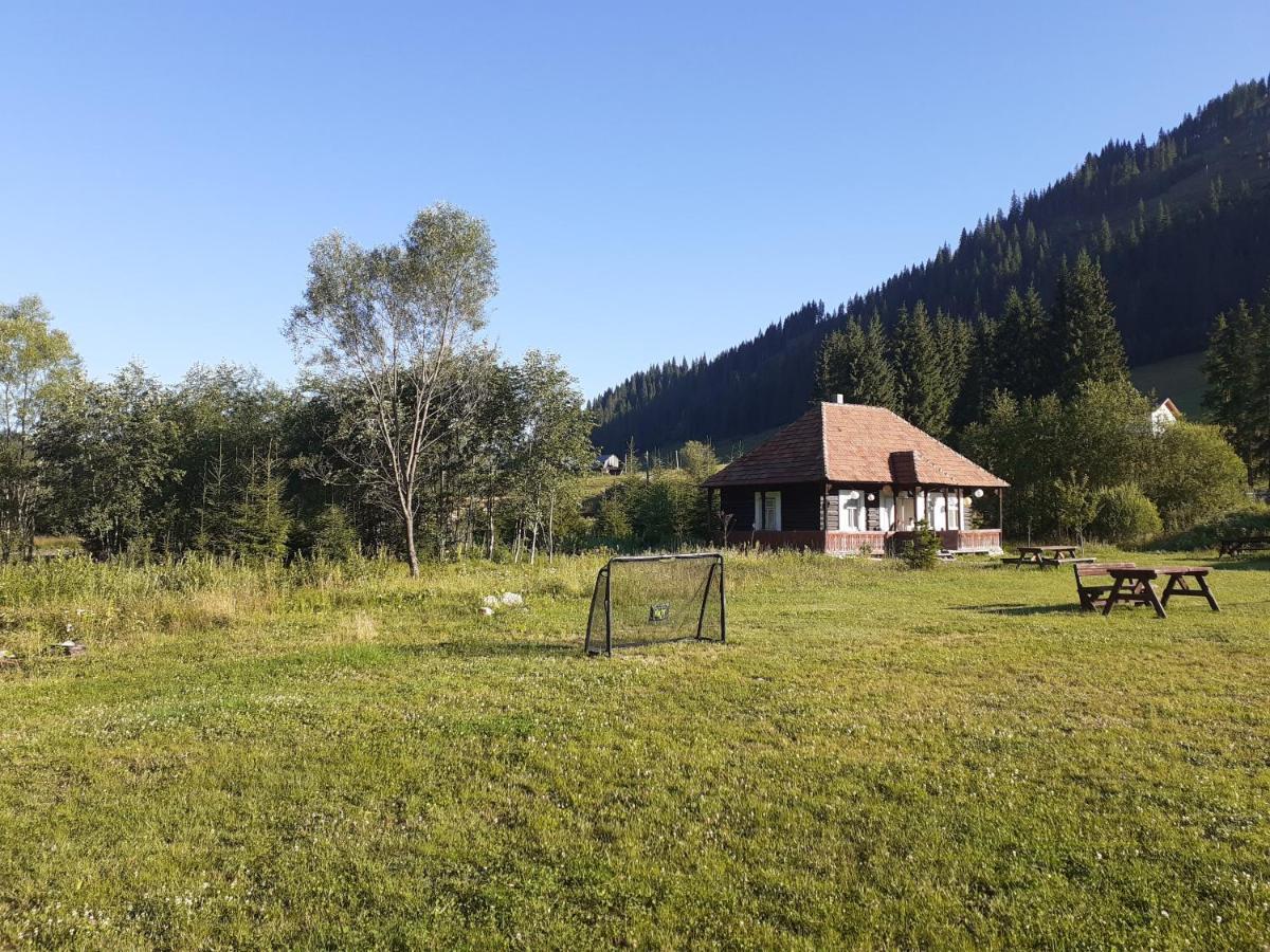 Hotel casuta valea stanei Valea Stanii Esterno foto