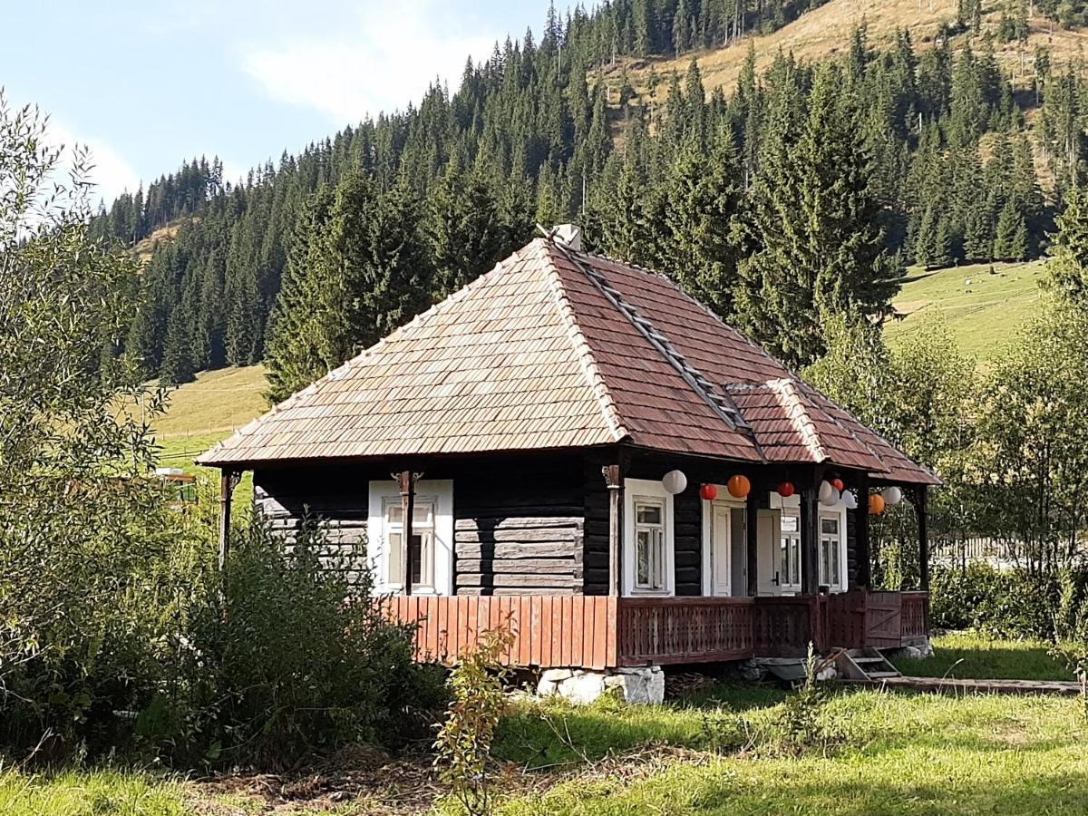 Hotel casuta valea stanei Valea Stanii Esterno foto